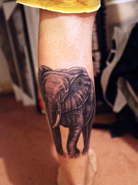 Elephant Leg Tattoo