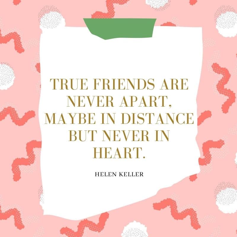 Friendship Love Quotes