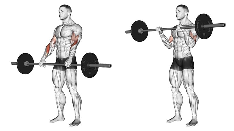 Reverse Barbell Curls