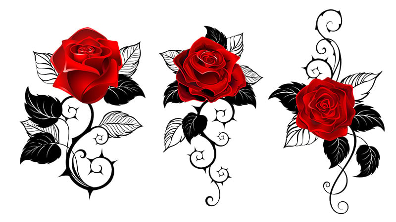 Roses Tattoo  Free Illustrations Drawings Backgrounds Images  rawpixel