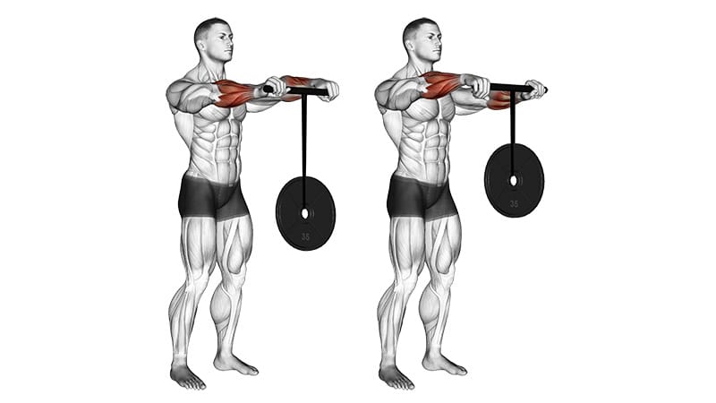 Wrist Rollers Excercise