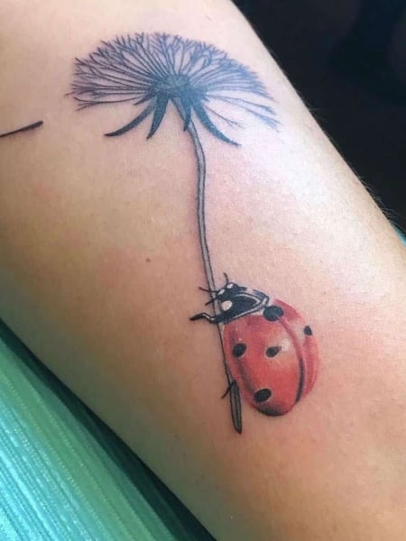 Meaningful Ladybug Tattoo1
