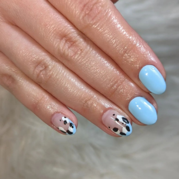 Baby Blue And Cow Spots Chelas.nailbar