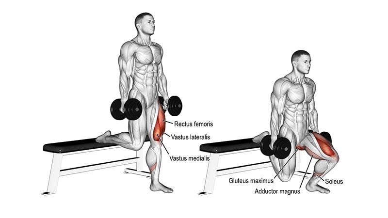 Bulgarian Split Squats