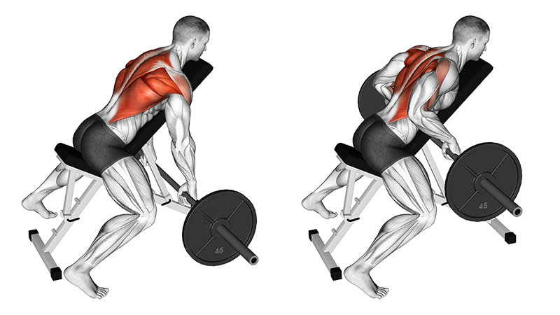 Chest Supported Rows