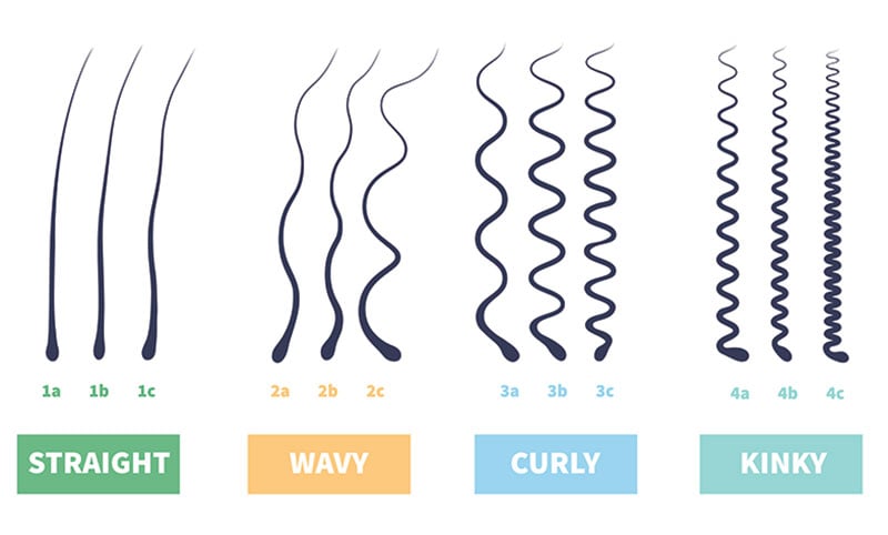 Hair Types: Different Types of Hair & Hair Type Chart - The Trend Spotter