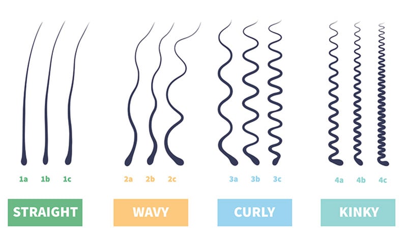 Hair Type Chart