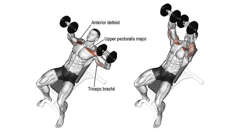 Incline Dumbbell Press