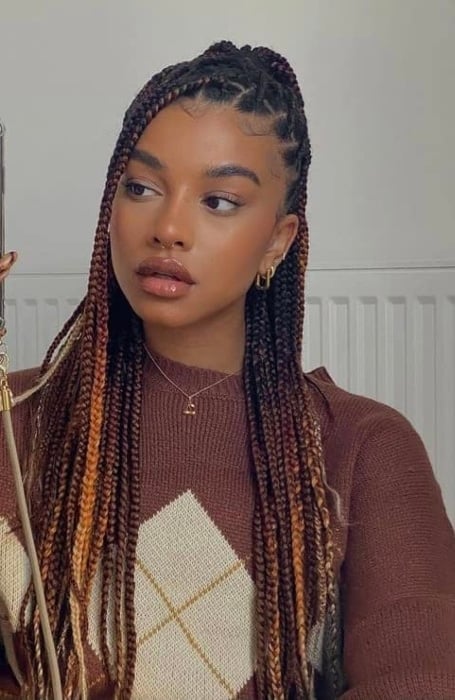 Medium Knotless Box Braids