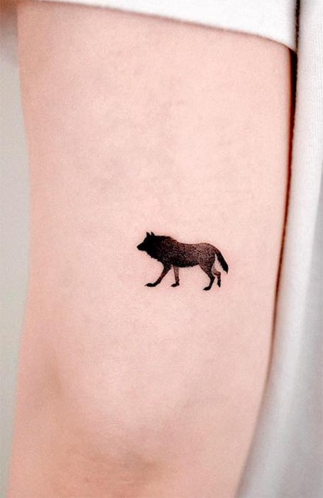 Wolf Tattoo Designs  TatRing