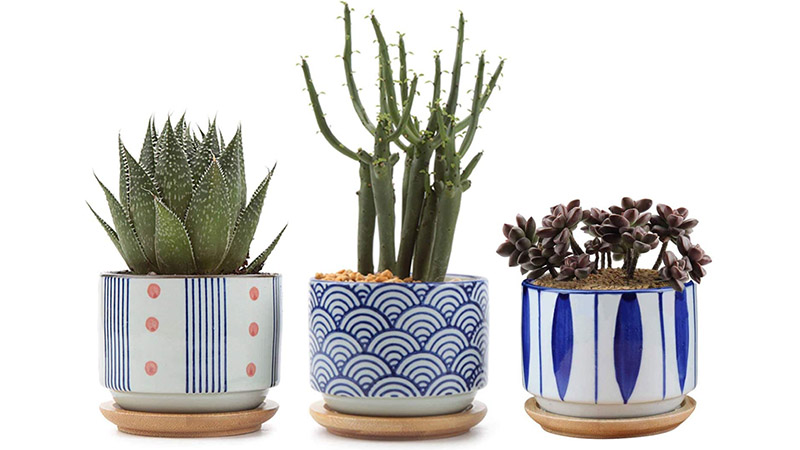 Ceramic Succulent Planter Pots With Bamboo Tray Set