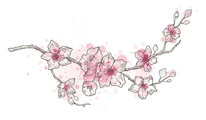 70 Beautiful Cherry Blossom Tattoo Designs & Meaning