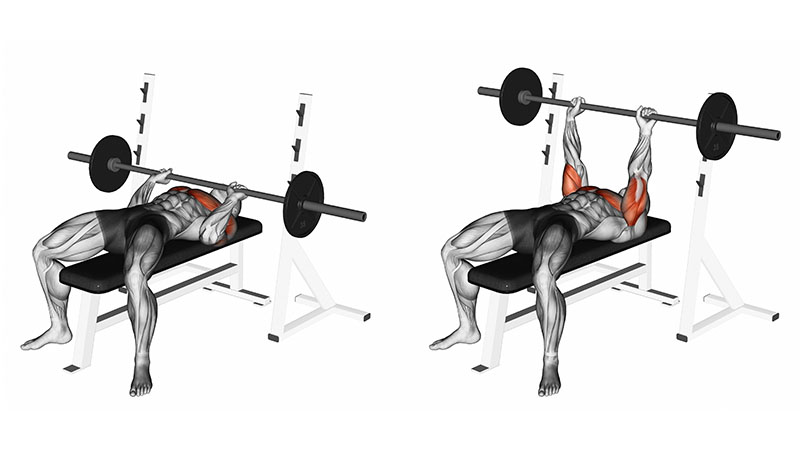 Close Grip Bench Press