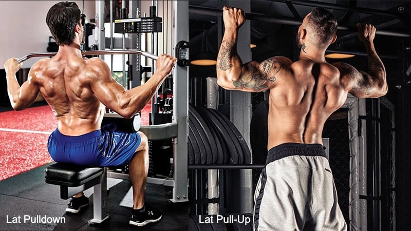 Lat Pulldow Vs Pull Up