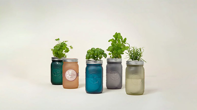 Mason Jar Indoor Herb Garden