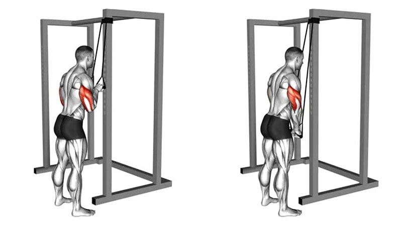 Resistance Band Tricep Pushdown