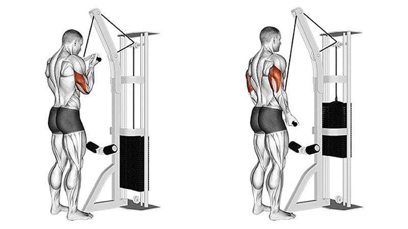 Reverse Grip Tricep Pushdown