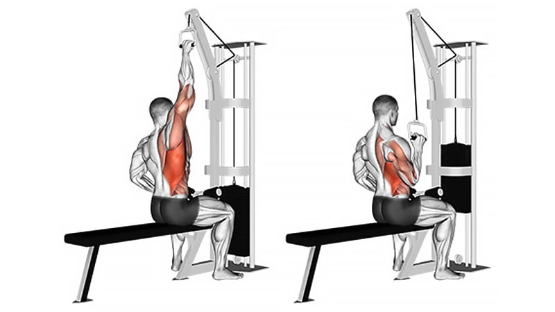 Single Arm Lat Pulldown