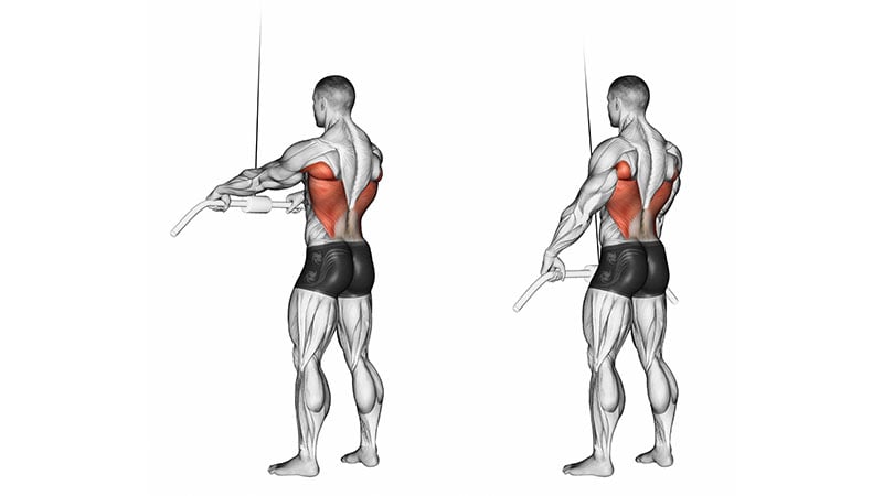 Straight Arm Lat Pulldown