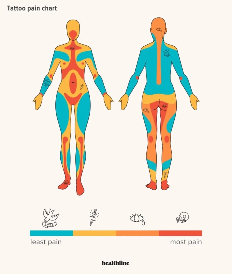 Tattoo Pain Chart for Females and Males Pain Scale Level