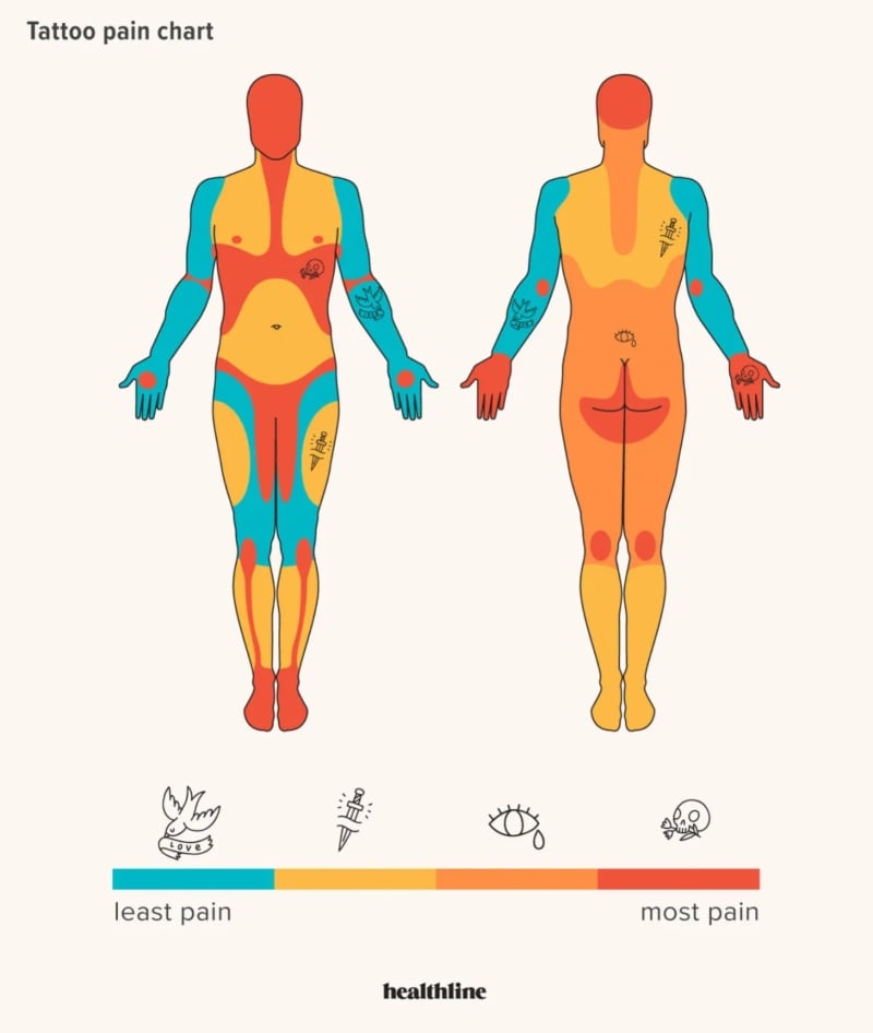 Tattoo Pain Chart Ranking Body Parts by Tattoo Pain Levels