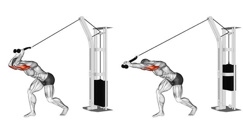 How to Do Tricep Pushdowns The Correct Way The Trend Spotter