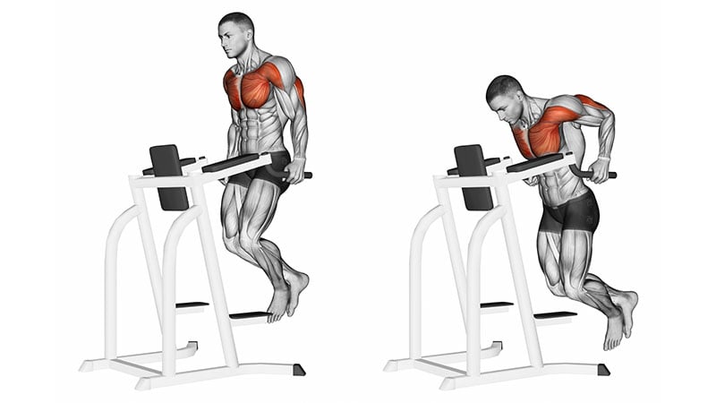 Weighted Upright Dips