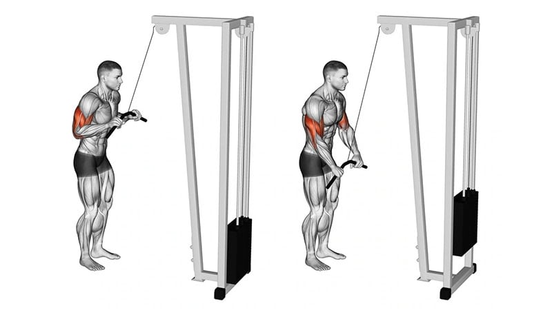 What Is The Tricep Pushdown