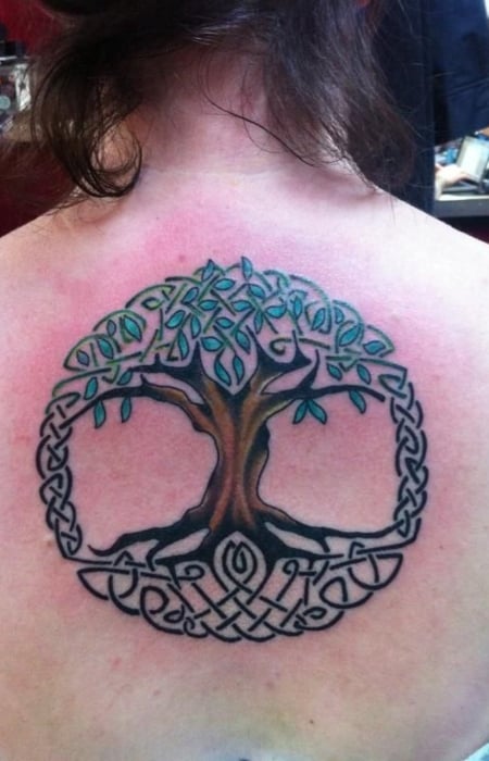 Celtic Tree Of Life Tattoo 1