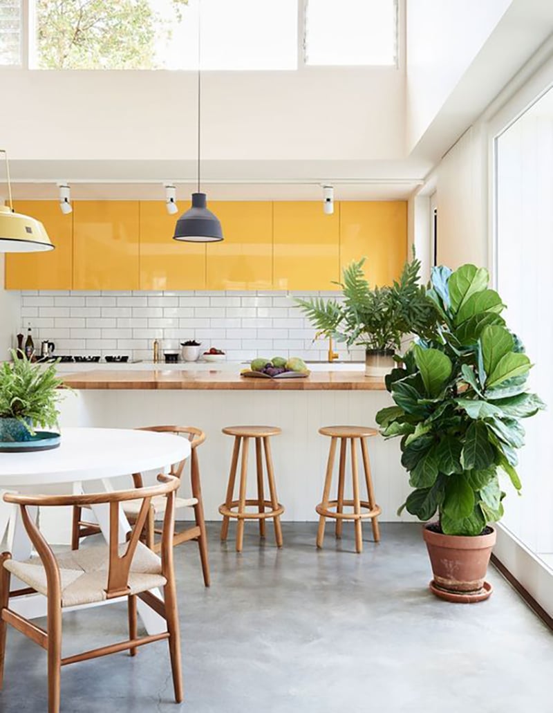 Colourful Kitchen