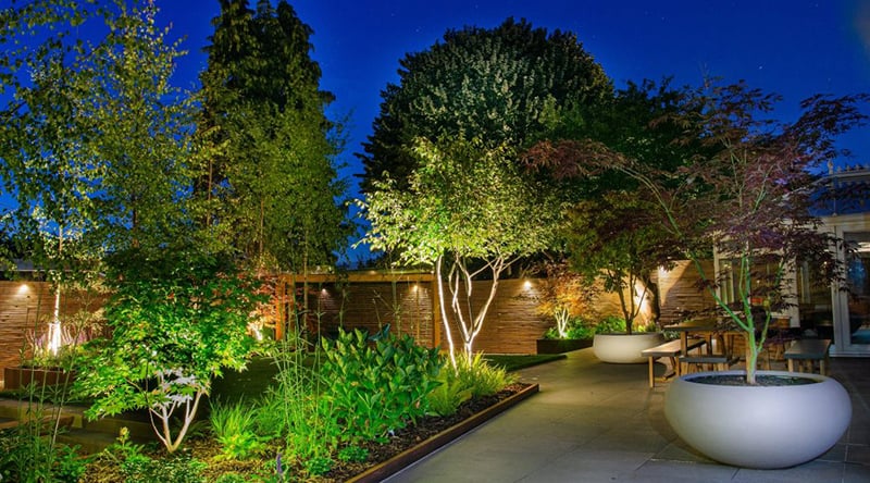 Creative Lighting Over The Plants