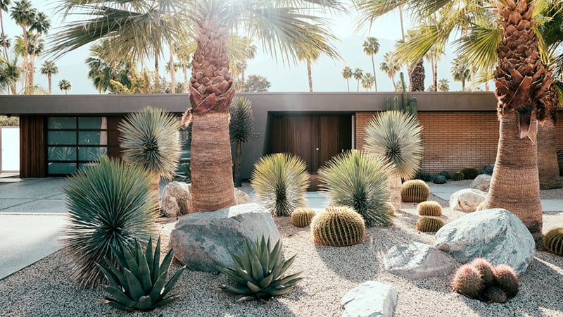 Desert Front Yard