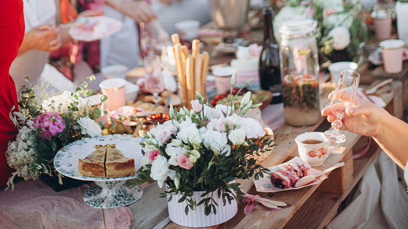 Fancy Picnic