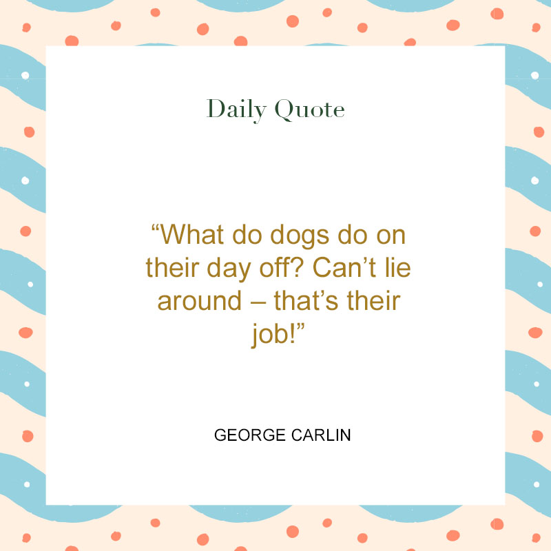 125 Funny Quotes & Sayings for a Good Laugh - The Trend Spotter 125 Funny Quotes & Sayings for a Good Laugh - The Trend Spotter