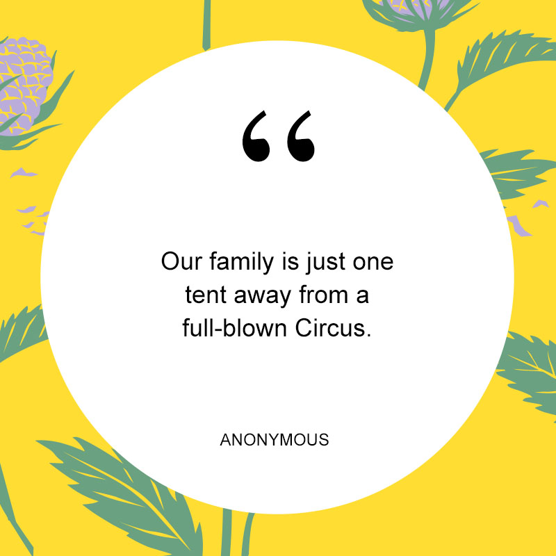 125 Funny Quotes & Sayings for a Good Laugh - The Trend Spotter 125 Funny Quotes & Sayings for a Good Laugh - The Trend Spotter