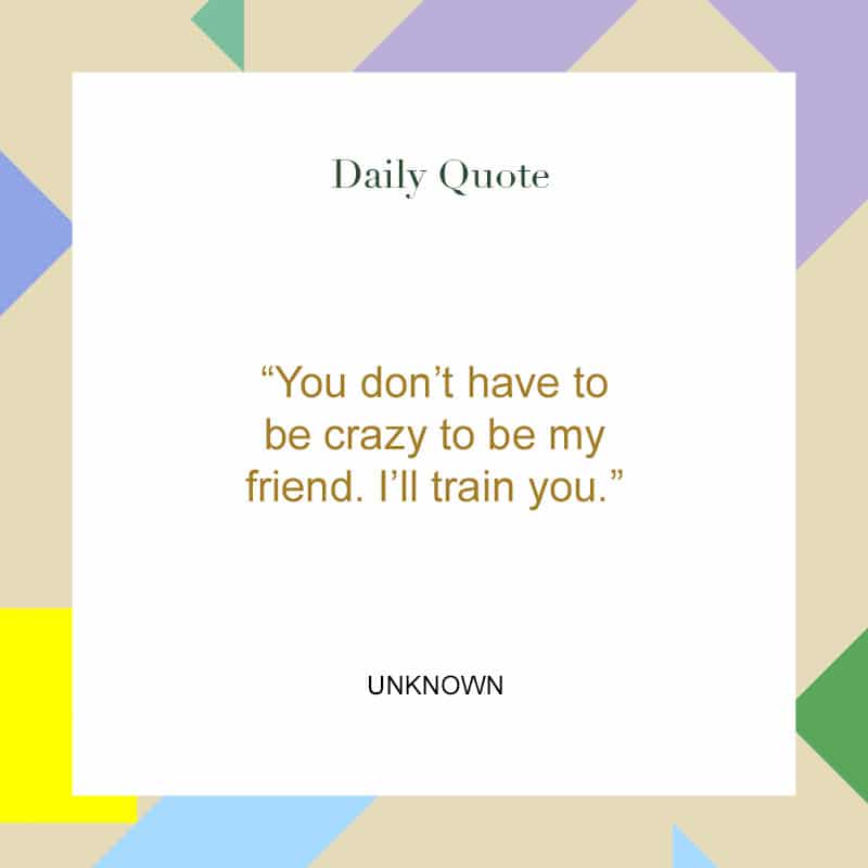 Funny Friendship Quotes