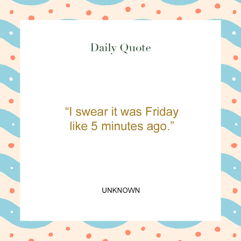 125 Funny Quotes & Sayings for a Good Laugh - The Trend Spotter 125 Funny Quotes & Sayings for a Good Laugh - The Trend Spotter