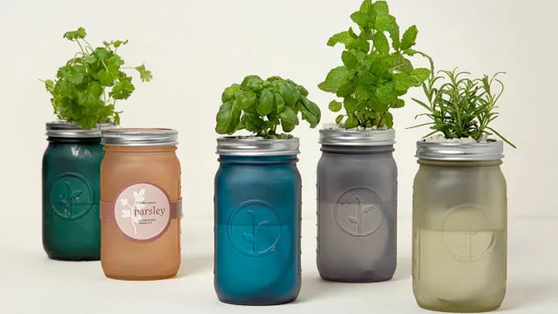 Mason Jar Indoor Herb Garden