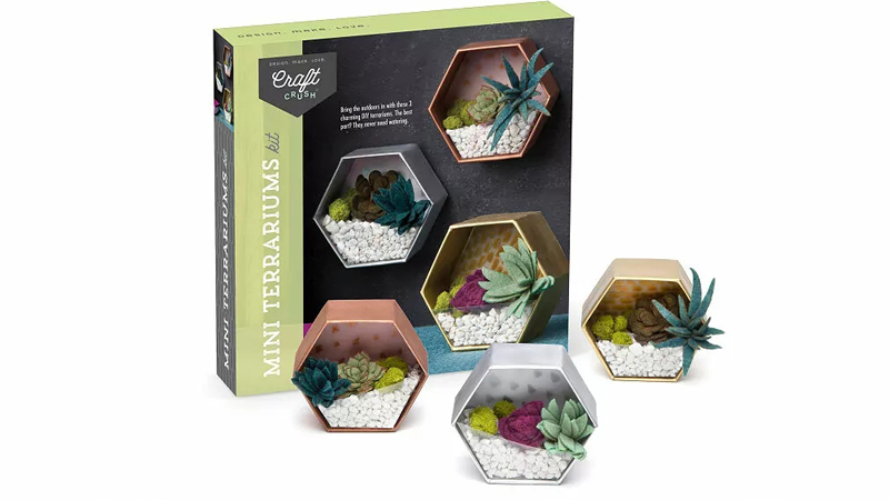 Mini Terrariums Diy Kit.jpg
