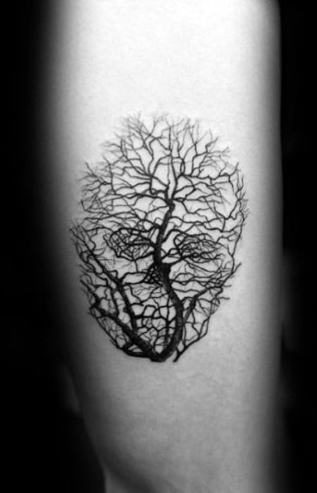 Skull Tree Of Life Tattoo