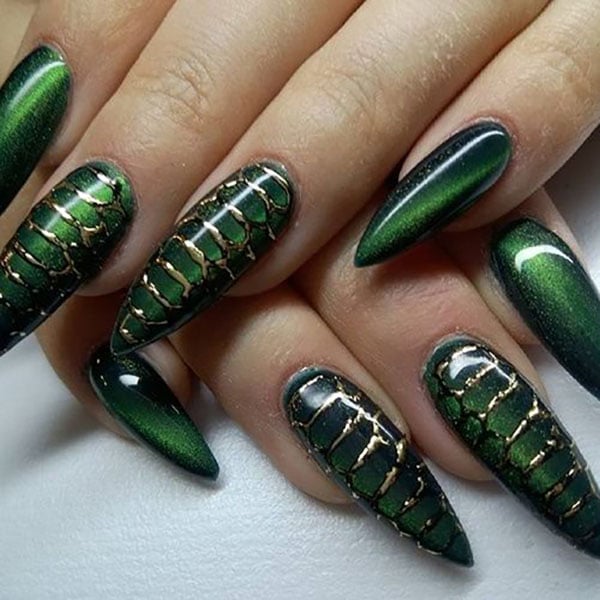 Cat Eye And Snake Art Nails