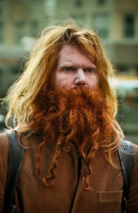 Curly Viking Beard