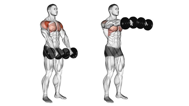 Front Lateral Raise