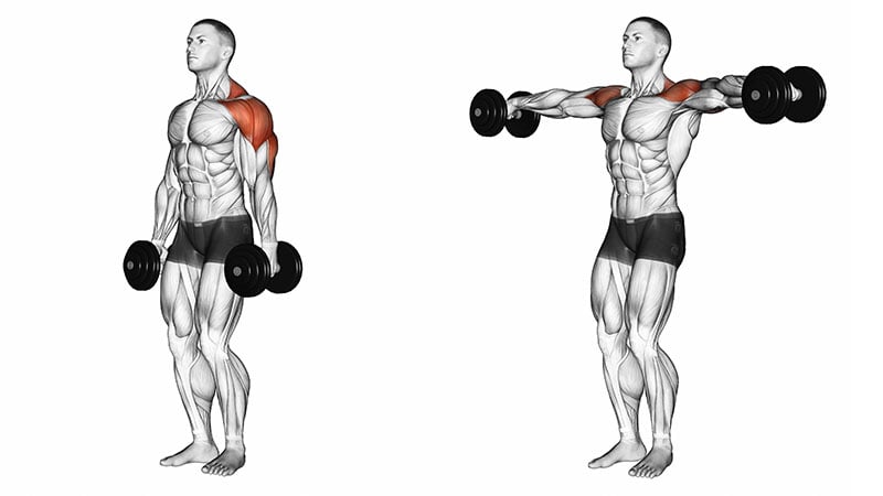 Side Lateral Raise