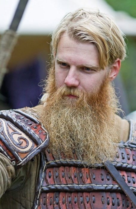 Viking Beard With Mustache