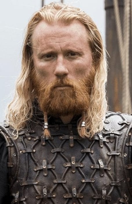 Viking Beard With Two Side Braids