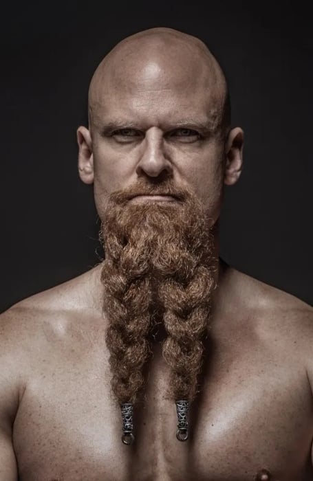 Viking Long Beard 