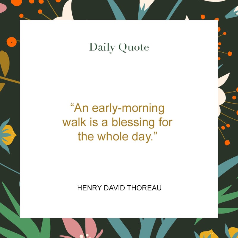 100 Good Morning Quotes & Images To Brighten Your Day
