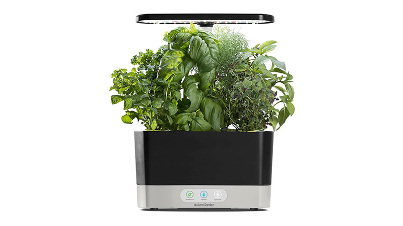 Hydroponic Indoor Herb Garden