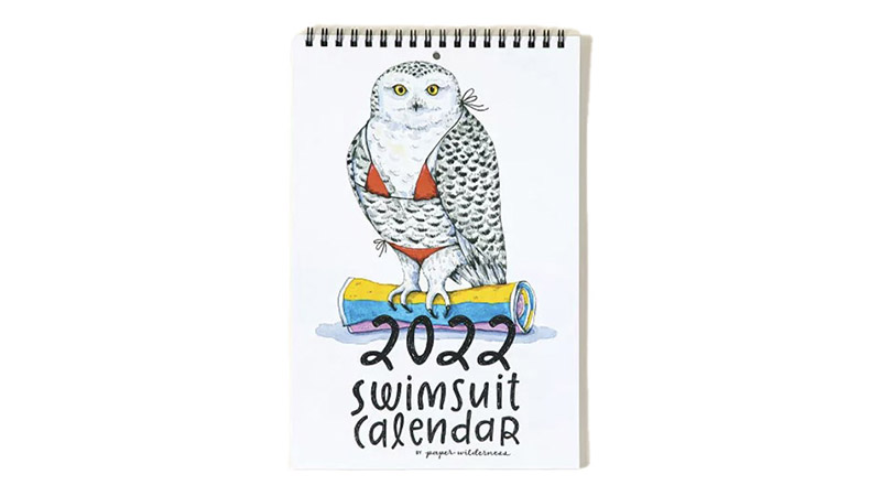 Swimsuit Calendar